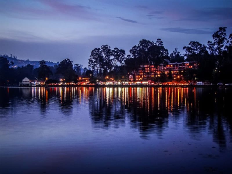 Kodaikanal Night Safari