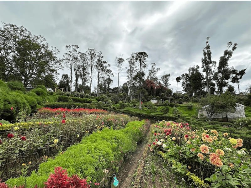 Kodaikanal Park Tour