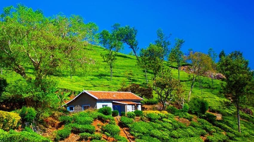 Ooty-Coonoor-tours1