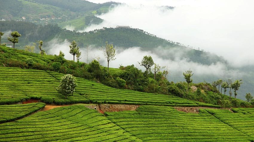Ooty-Coonoor-tours2