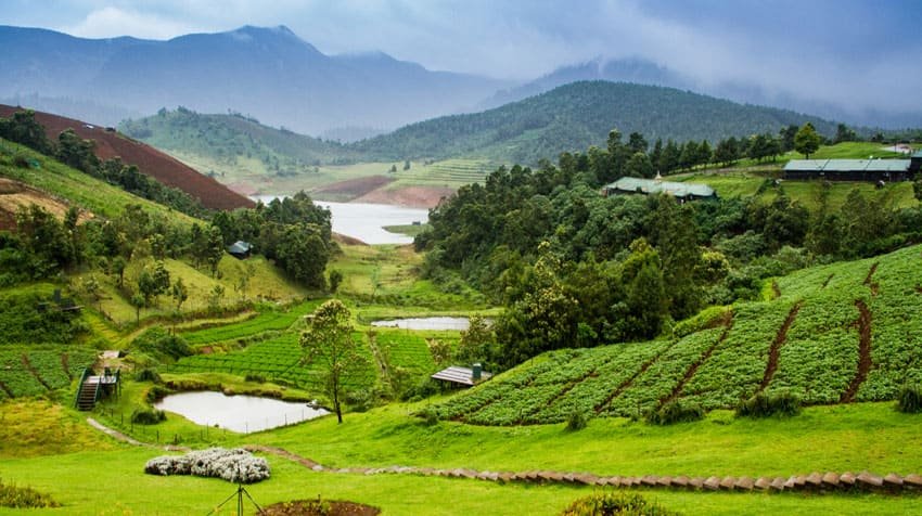 Ooty-Coonoor-tours3