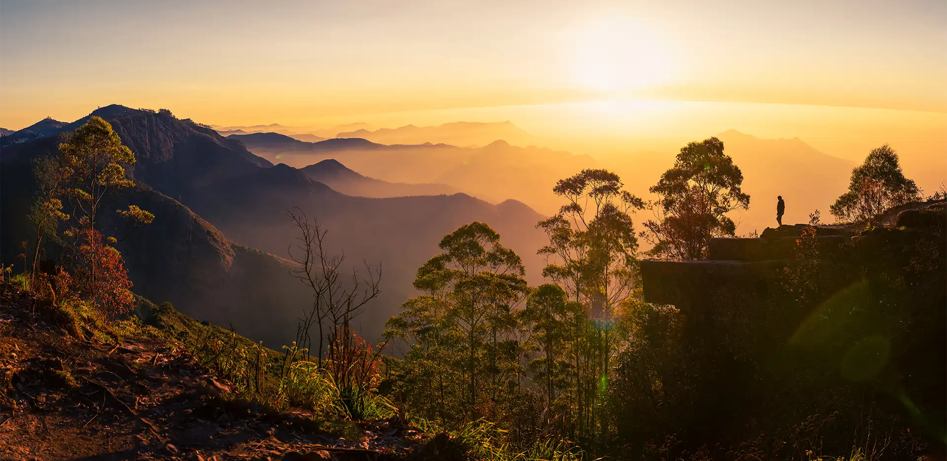 Welcome to Alphonsa Tours & Travels – Your Trusted Travel Partner in Kodaikanal