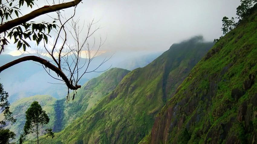 kodaikanal-forest-tour1