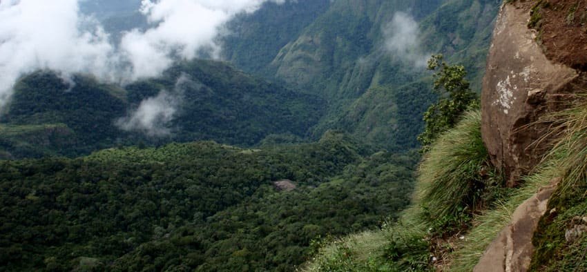 kodaikanal-forest-tour1_1524896907