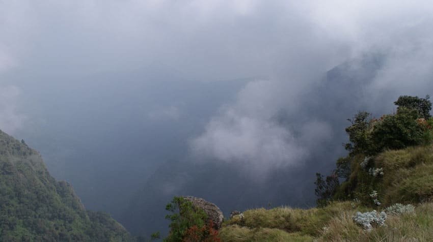 kodaikanal-forest-tour2