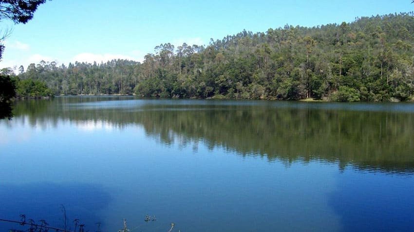kodaikanal-forest-tour3