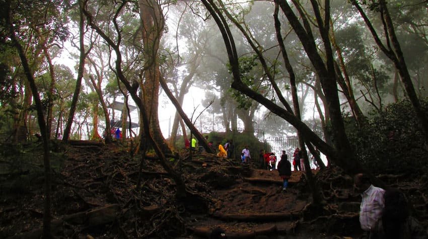kodaikanal-fullday-tour3