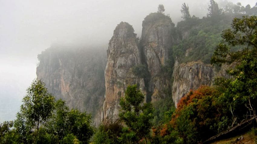 kodaikanal-fullday-tour4
