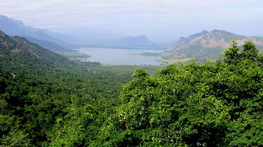 kodaikanal-park-tour2