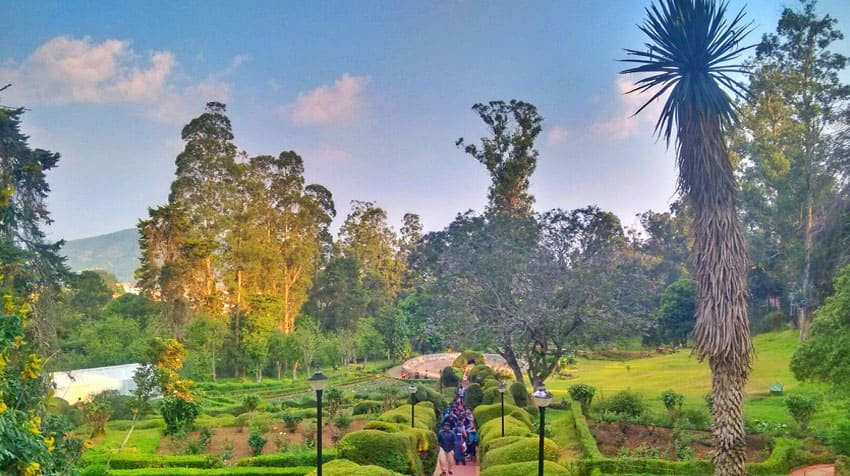 kodaikanal-park-tour3