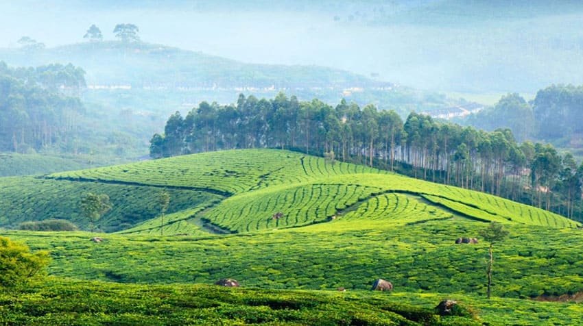 kodaikanal-thekkady-munnar tour2