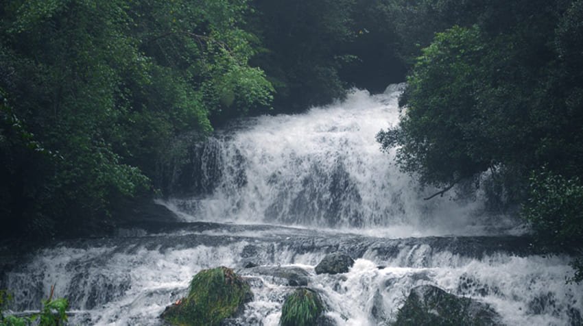 kodaikanal-trekking-tour3