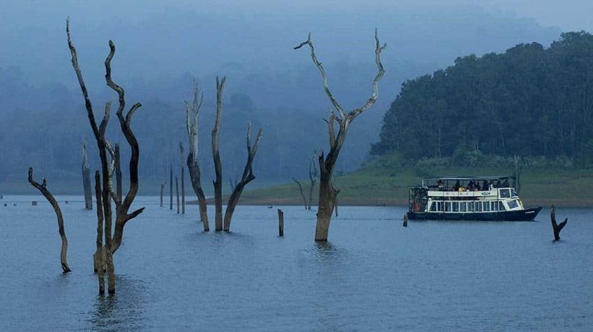 thekkady-munnar-tours1