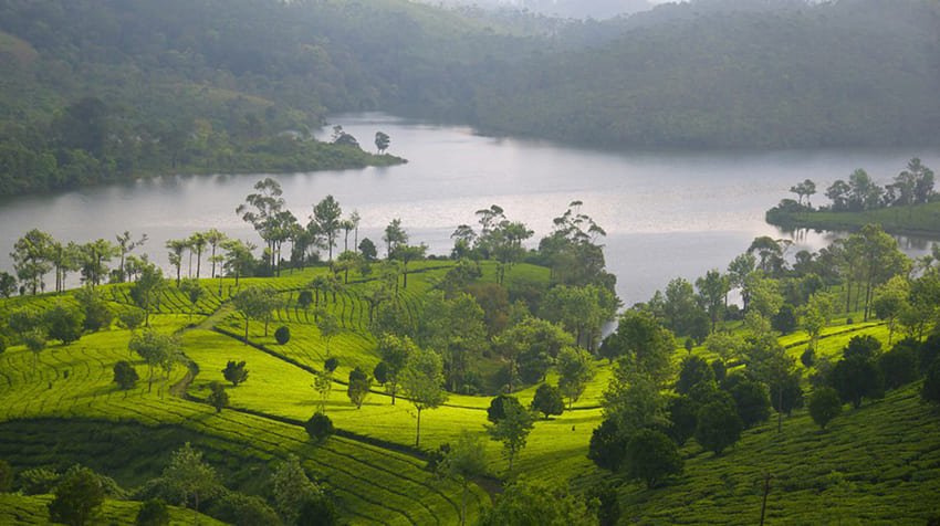 thekkady-munnar-tours3