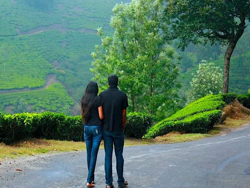 honeymoon-tour-ooty